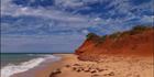 Cape Peron - WA (PBH3 00 5030)