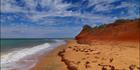 Cape Peron - WA (PBH3 00 5031)