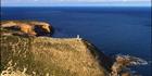 Cape Spencer Lighthouse - SA TV (PBH3 00 28585)