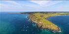 Cape St Albans - SA T (PBH3 00 31376)
