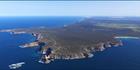 Cape Wiles - SA (PBH3 00 22758)