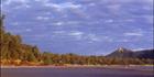 Cape Hillsborough Morning - QLD (PB 00 3525)