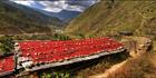 Chilli Drying T (PBH3 00 23655)