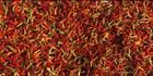 Chillies (PBH3 00 13828)