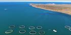 Clean Seas - Point Lowly - SA (PBH3 00 22726)