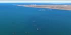 Clean Seas - Point Lowly - SA (PBH3 00 22738)