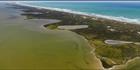 Coorong NP - SA (PBH3 00 31255)