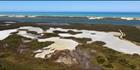 Coorong NP - SA (PBH3 00 31275)