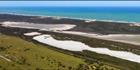 Coorong NP - SA (PBH3 00 31278)