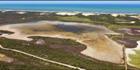 Coorong NP - SA (PBH3 00 31282)