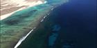 Ningaloo Reef  - WA (PBH3 00 7790)