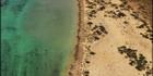 Ningaloo Reef  - WA (PBH3 00 7808)