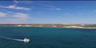 Coral By Ecotours - WA (PBH3 00 7982)