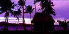 Coral View Resort Bure - Fiji (PB00 4976)