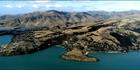 Diamond Harbour 2 - NZ (PB00 2675)