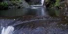 Ellabanna Falls Vertical - QLD (PB00 1954)
