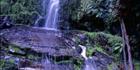 Erskine Falls - Lorne - VIC (PB00 5712)