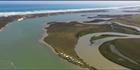 Ewe Island - Coorong NP - SA (PBH3 00 31214)
