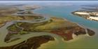 Ewe Island - Coorong NP - SA (PBH3 00 31215)