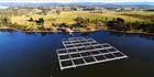 Fish Farm - TAS T (PBH3 00 27991)