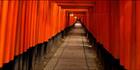 Fuishi Inari - Japan H (PBH3 00 0097)