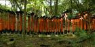 Fuishi Inari - Japan H (PBH3 00 0098)
