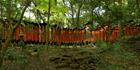 Fuishi Inari - Japan SQ (PBH3 00 0098)