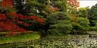 Garden - Japan (PB H3D H 000094)