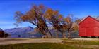 Glenorchy Boat Shed - NZ (PB 002854)