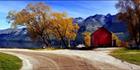 Glenorchy Jetty and Shed 1 - NZ (PB00 2853)