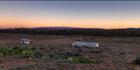 Glow - Beltana Station - SA (PBH3 00 18959)