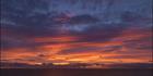 Goulet Bluff - Shark Bay - WA (PBH3 00 4978)