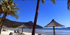 Hamilton Island Beach - QLD (PB00 3498)