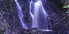Hogarth Falls - Strahan - TAS (PB00 5628)