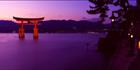 Floating Torii - Japan (PB00 6109)