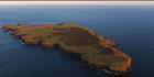 Lady Juila Percy Island (PBH3 00 28155)