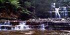 Liffey Falls 1 - TAS (PB00 4406)