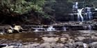 Liffey Falls 4 - TAS (PB00 4409)