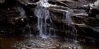 Liffey Falls Vertical - TAS (PB00 4411)