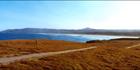 Look at Me Now Headland Path 1-NSW (PB003099)