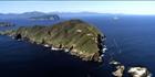 Maatsuyker Island - TAS (PB00 5371)