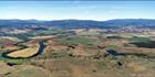 Macquarie Plains - TAS (PB00 5402)