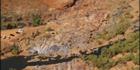 Marble Bar - WA V (PBH3 00 9838)