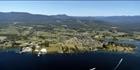 Margate - TAS (PB00 5197)
