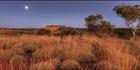 Millstream NP - WA (PBH3 00 9053)