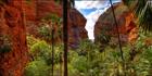 Mini Palms Gorge - WA T (PBH3 00 11875)