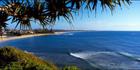 Moffat Beach Pandanus - QLD (PB003377)