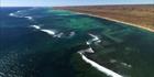 Ningaloo - WA (PBH3 00 8246)