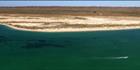 Ningaloo Reef - WA (PBH3 00 8268)