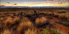 Old Townsite Ruins - Onslow - WA (PBH3 00 8718)